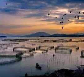桂林伴游中国网景点丰富(旅游网介绍)