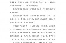 桂林旅游感想(张家界旅游感想)