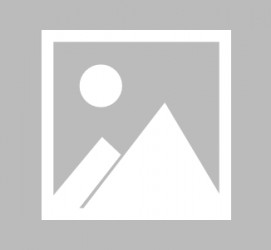 桂林北京私人伴游 宁波出现专业“旅拍” 充当导游+地陪 上山下海一路跟随