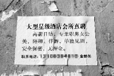 桂林珠海伴游雇用网(珠海游览社雇用信息)