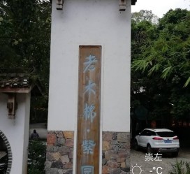 桂林关于伴游中国伴游你们伴得是什么游的信息