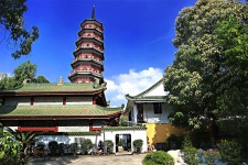 桂林广州自由行(广州 自由行)