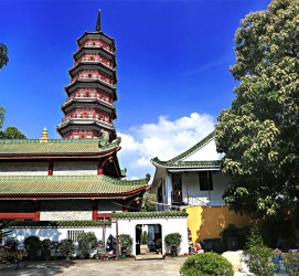 桂林广州自由行(广州 自由行)
