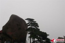桂林上海伴游私家陪游雇用女模(上海伴游私家陪游雇用女模特)