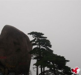 桂林上海伴游私家陪游雇用女模(上海伴游私家陪游雇用女模特)