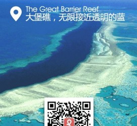 桂林中国250家旅行社结伴游新西兰(新西兰当地旅行社)