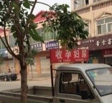 桂林上海伴游 用伴游造句大全(5