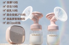 桂林奶模(奶模型)