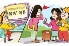 桂林伴游是什么