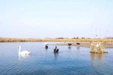 桂林南昌附近伴游小妹兼职(1534939978姐的微信德惠市)