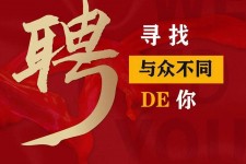桂林商务伴游招聘 重庆星级酒店诚招司机服务员夜场保安