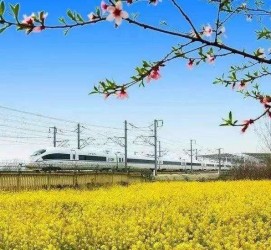 桂林高铁游(高铁游戏下载手机版)