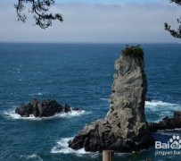 桂林旅游全攻略(上海旅游全攻略)