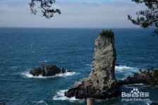 桂林旅游全攻略(上海旅游全攻略)