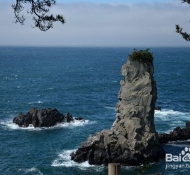 桂林旅游全攻略(上海旅游全攻略)