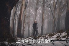 桂林上海私人伴游 上海伴游，上海兼职伴游安全吗