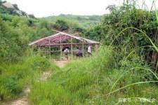桂林北海伴游兼职雇用信息(北海伴游兼职雇用信息大全)