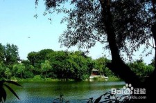 桂林西湖旅游攻略(上海到杭州西湖旅游攻略)