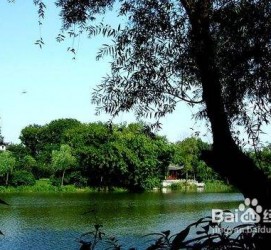 桂林西湖旅游攻略(上海到杭州西湖旅游攻略)
