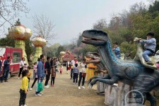 桂林中国伴游带你打卡网红南山竹海(南山竹海网上预约)
