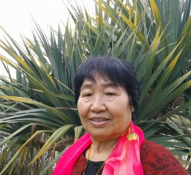 桂林白叟带老伴游半个中国(白叟外出旅游)