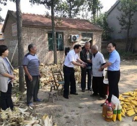 桂林关于宋叔带老伴游中国的信息