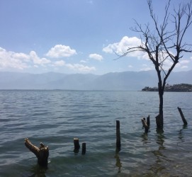 桂林洱海旅游攻略(洱海旅游攻略自由行)