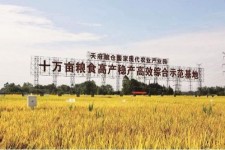 桂林关于成都商务伴游外围雇用的信息