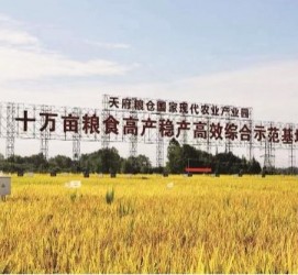 桂林关于成都商务伴游外围雇用的信息