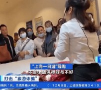 桂林上海私人伴游 看·法｜100元游上海？！“旅社”涉嫌诈骗被一窝端