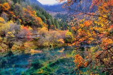 桂林四川旅游攻略(四川旅游攻略十五日游)