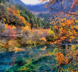 桂林四川旅游攻略(四川旅游攻略十五日游)