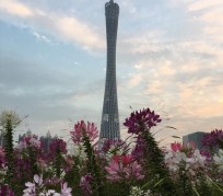 桂林广州旅游攻略(杭州到广州旅游攻略)