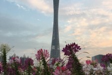 桂林广州旅游攻略(杭州到广州旅游攻略)