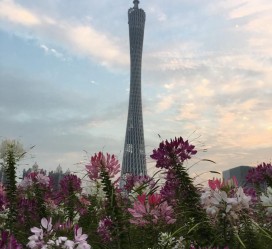桂林广州旅游攻略(杭州到广州旅游攻略)