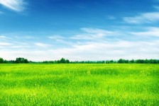 桂林上海伴游 上海模特伴游微信号的交友宣言