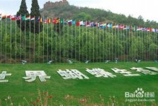 桂林昆明旅游攻略(昆明旅游攻略景点大全抚仙湖)