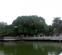 桂林福州旅游攻略(福州旅游攻略二日游)