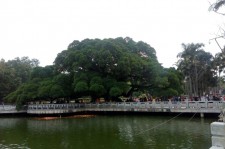 桂林福州旅游攻略(福州旅游攻略二日游)