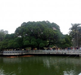 桂林福州旅游攻略(福州旅游攻略二日游)
