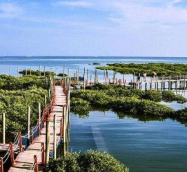桂林旅游哪里好玩(云南旅游哪里好玩)
