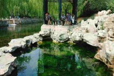 桂林济南旅游攻略(青岛威海济南旅游攻略)