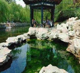 桂林济南旅游攻略(青岛威海济南旅游攻略)