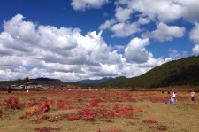 桂林旅游去处(暑期最好的旅游去处)