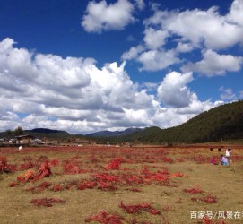 桂林旅游去处(暑期最好的旅游去处)