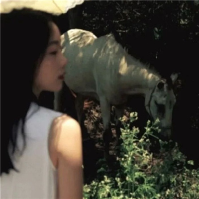 桂林私家伴游让你拥有一次完美的旅游体验